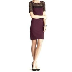 Ann Taylor plum lace detail sweater dress